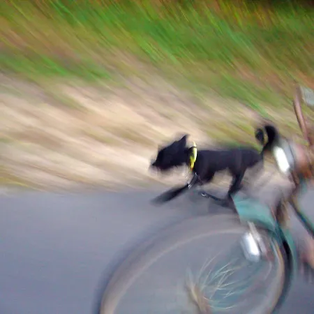 Traumhaff Hausboote La Peniche / Ostsee - Aussergewoehnliches Design, Atemberaubende Sonnenuntergaenge Und Sauna An Bord 보트호텔
